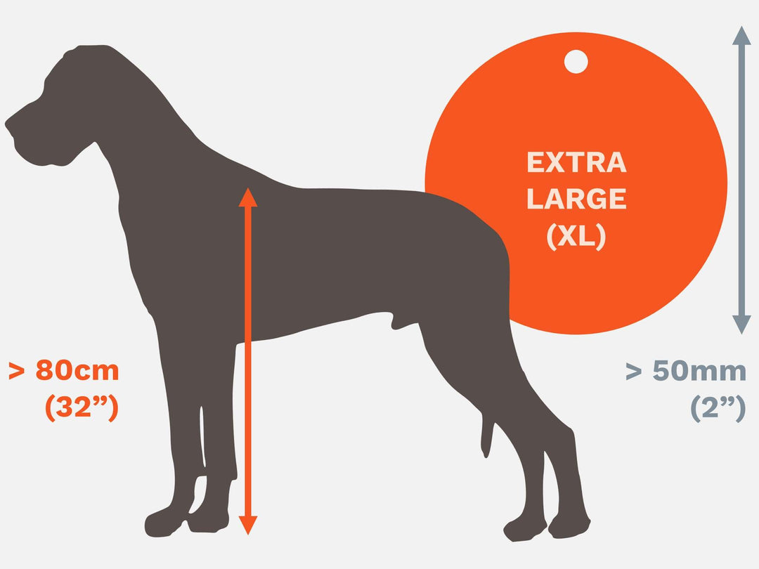 Extra Large Pet identity Tags