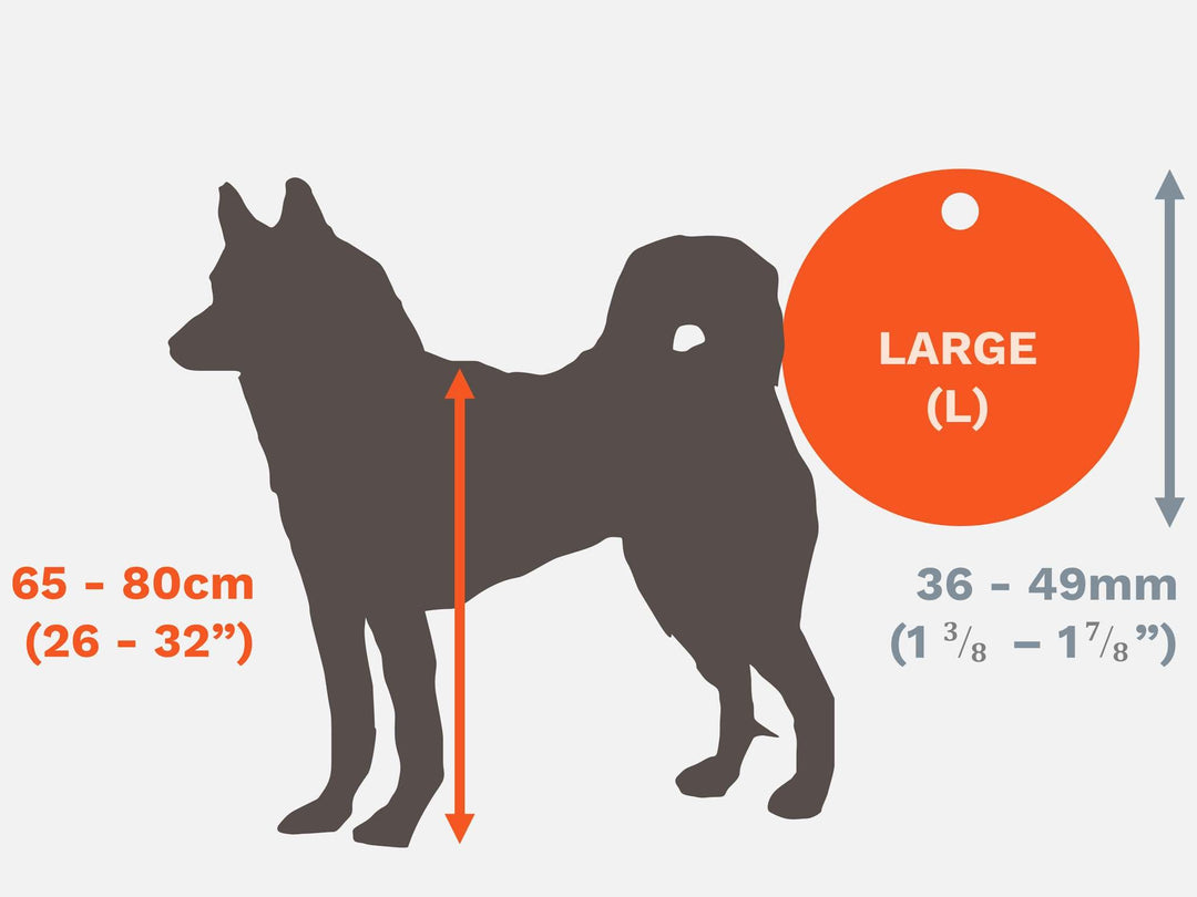 Large Pet identity tags