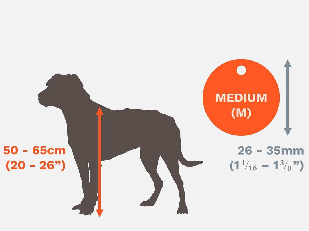 Medium Sized Pet Identity Tags