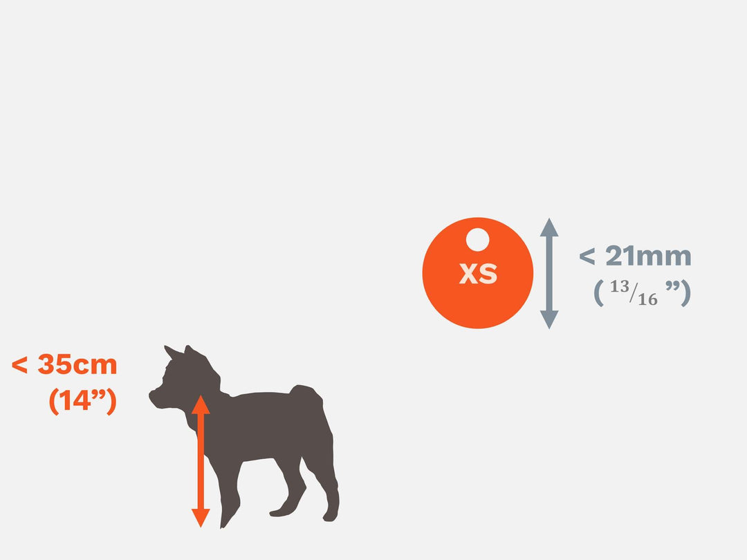 Extra Small Pet Tags