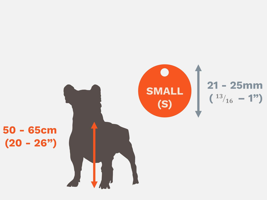 Small Sized Pet Identity Tags