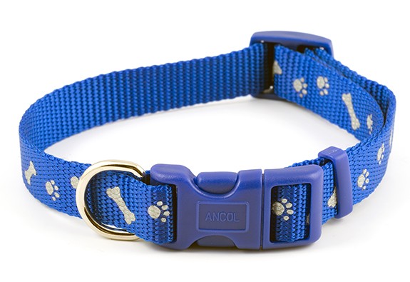 Reflective Paw n Bone Bright Blue dog Collar - By Ancol