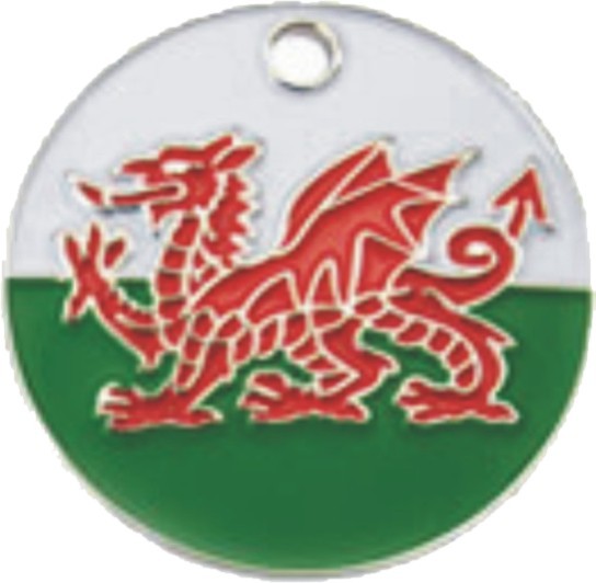Welsh Flag Pet Tag