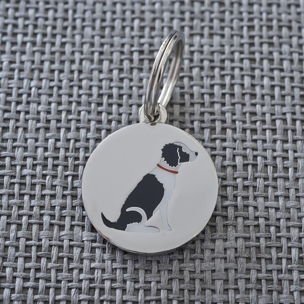 Black Springer Spaniel Dog ID Tag