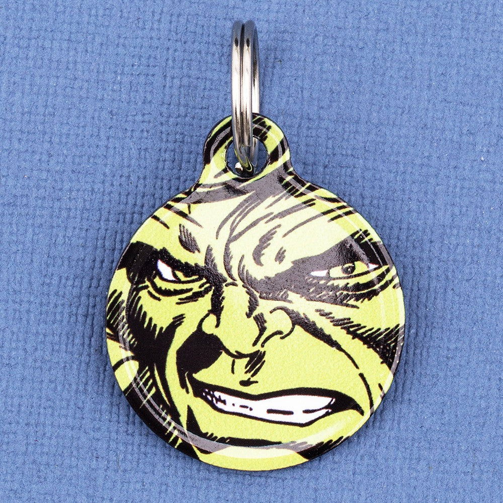 Hulk Pet ID Tag