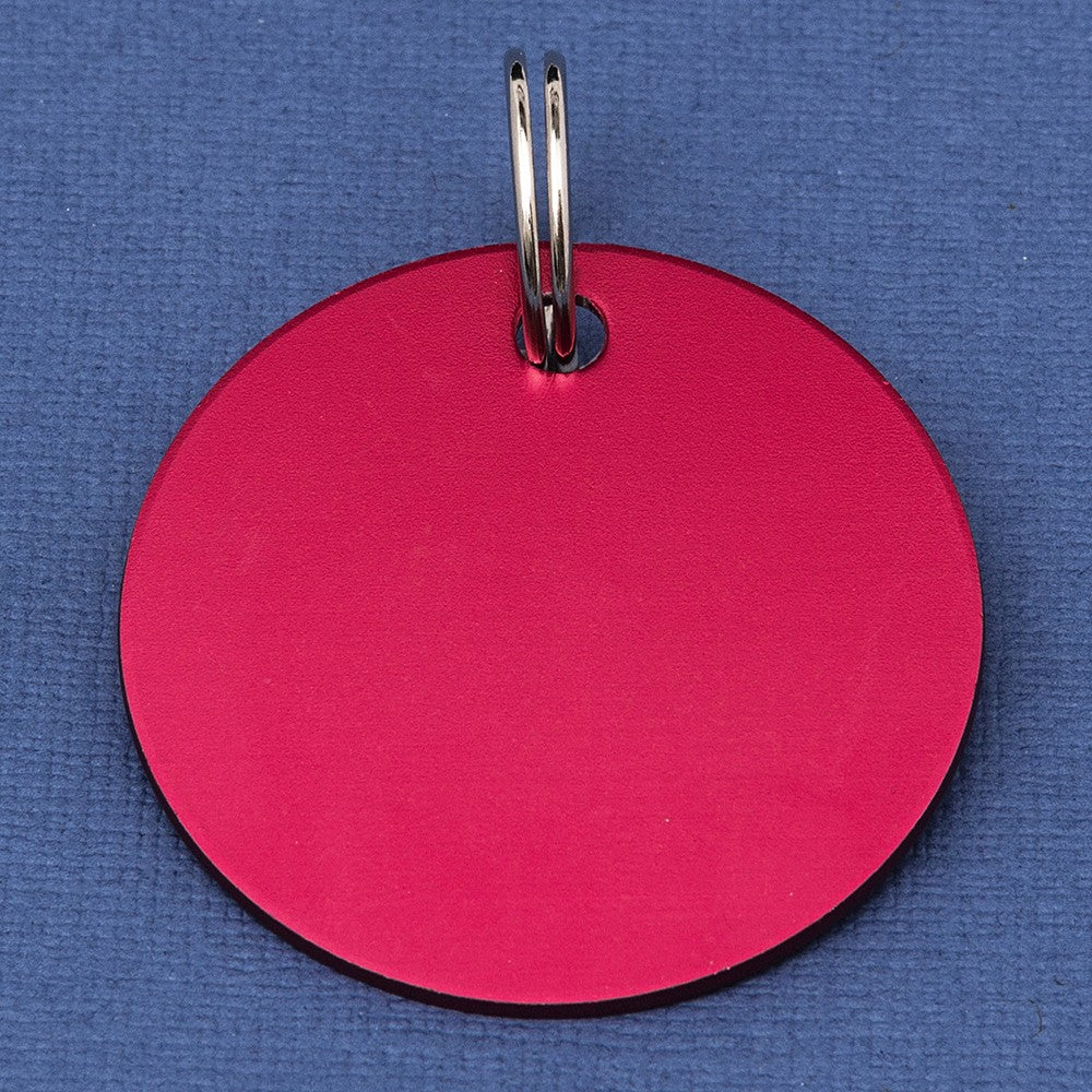 Alert Rider Down Horse Tag