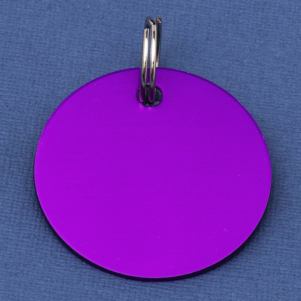 Horse Shoe Bridle Tack Saddle Bridle Disc