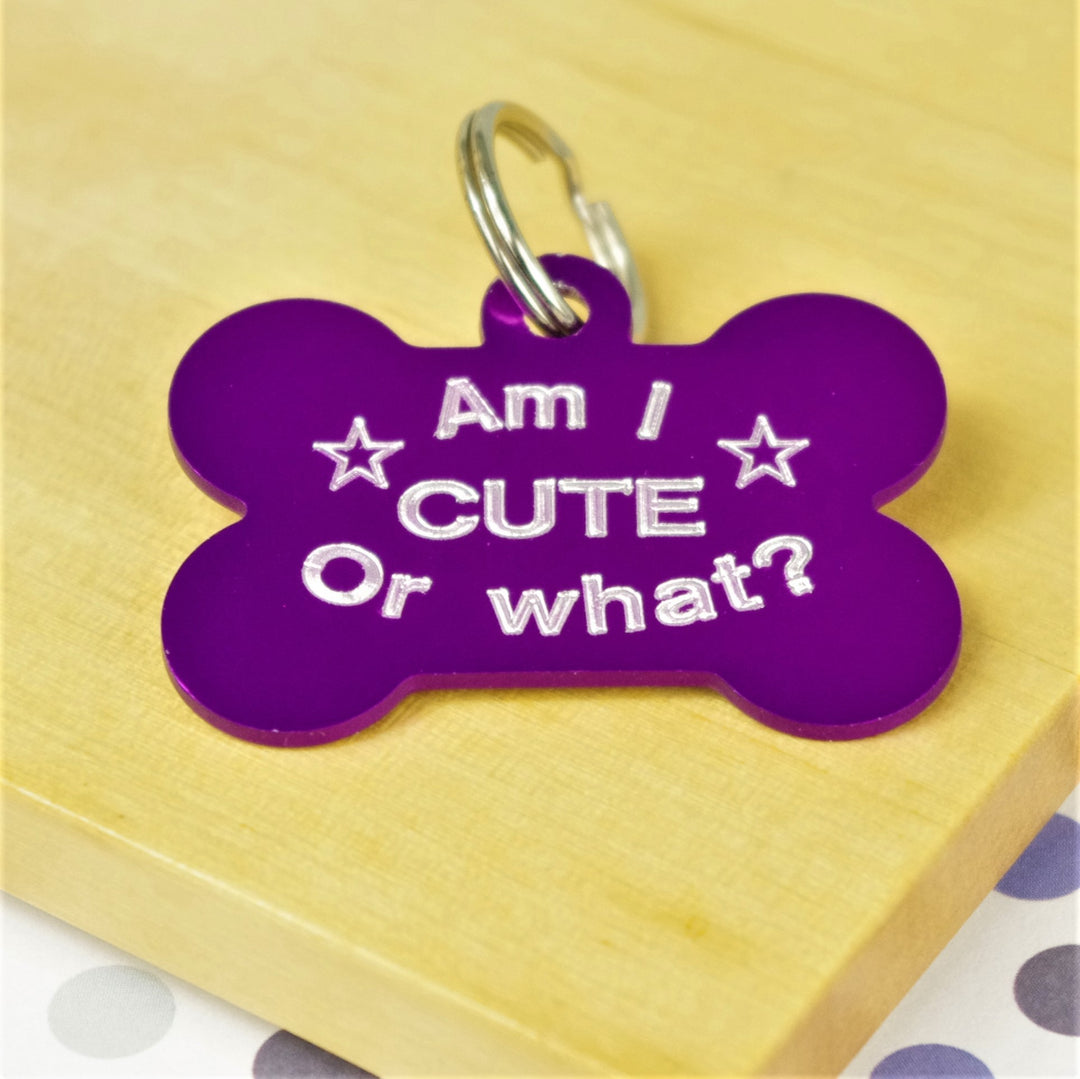 Cute or What Fun Pet Tag