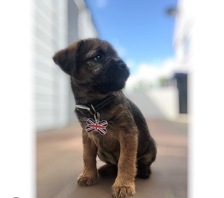 Union Jack Bone Pet Tag