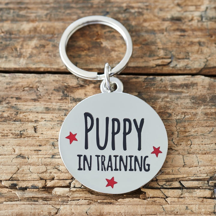 Puppy In Training Pet Tag