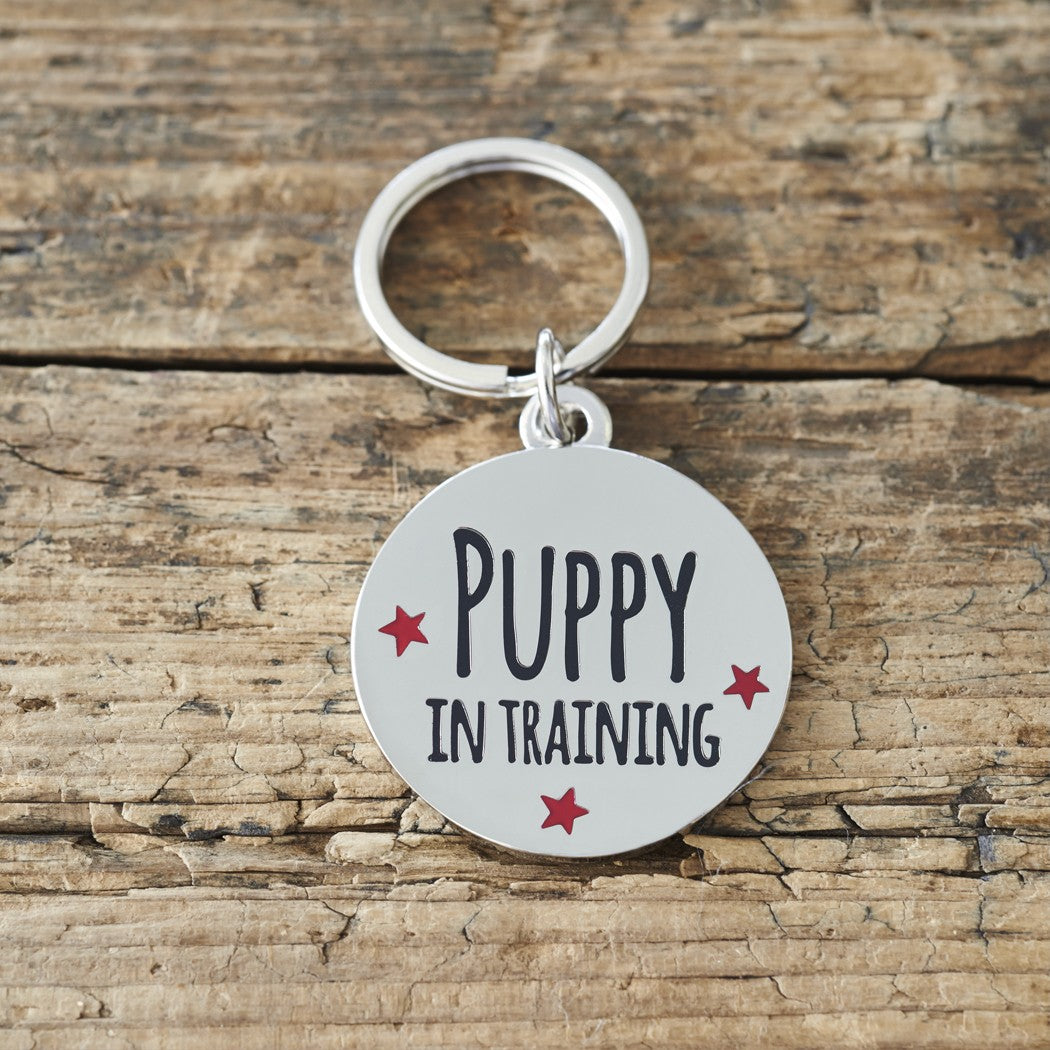 Puppy In Training Pet Tag