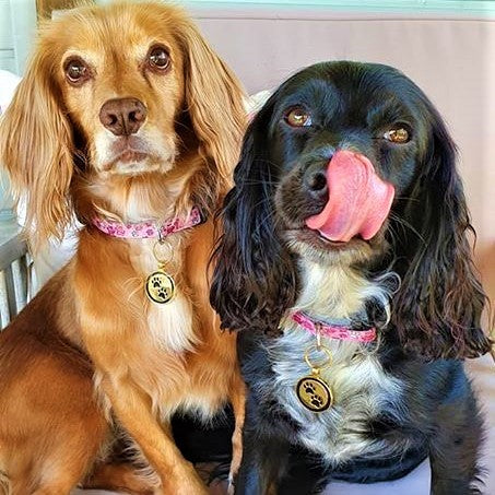 Gold Paw Print Dog ID Tag