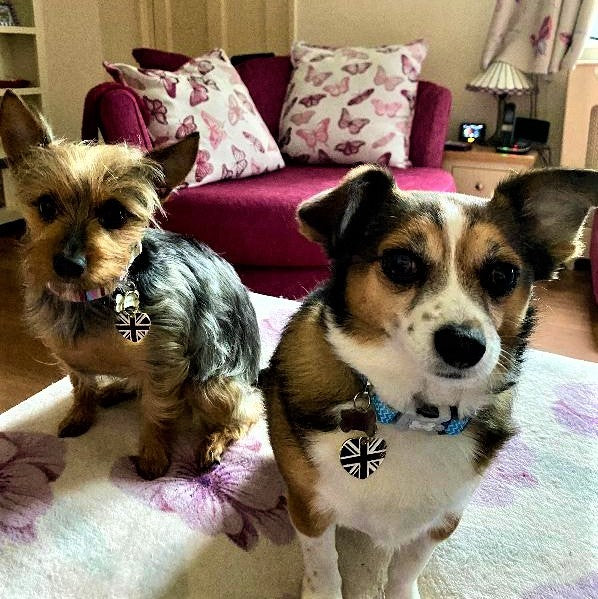 British Flag Heart Pet ID Tag