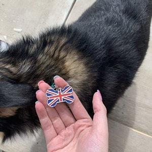 Union Jack Bone Pet Tag