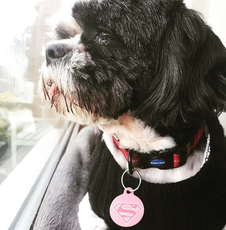 Supergirl Pet ID Tag