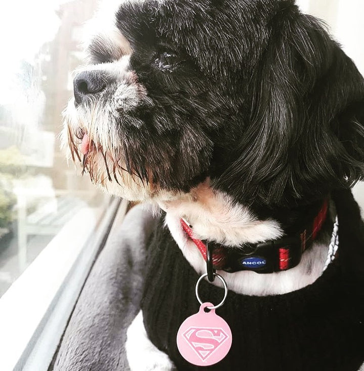 Supergirl Pet ID Tag