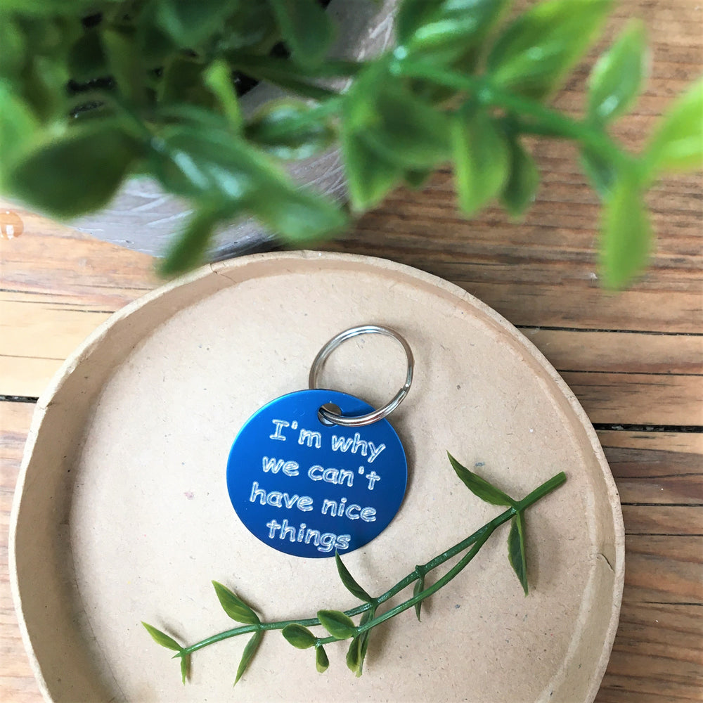 Why we can't have nice things Pet Id Tag