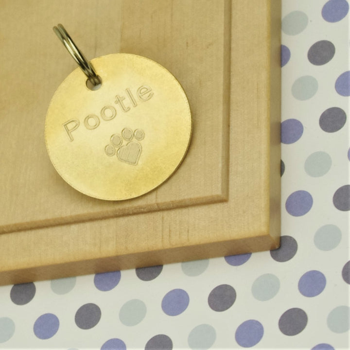 Brass Paw Pet Id Tag