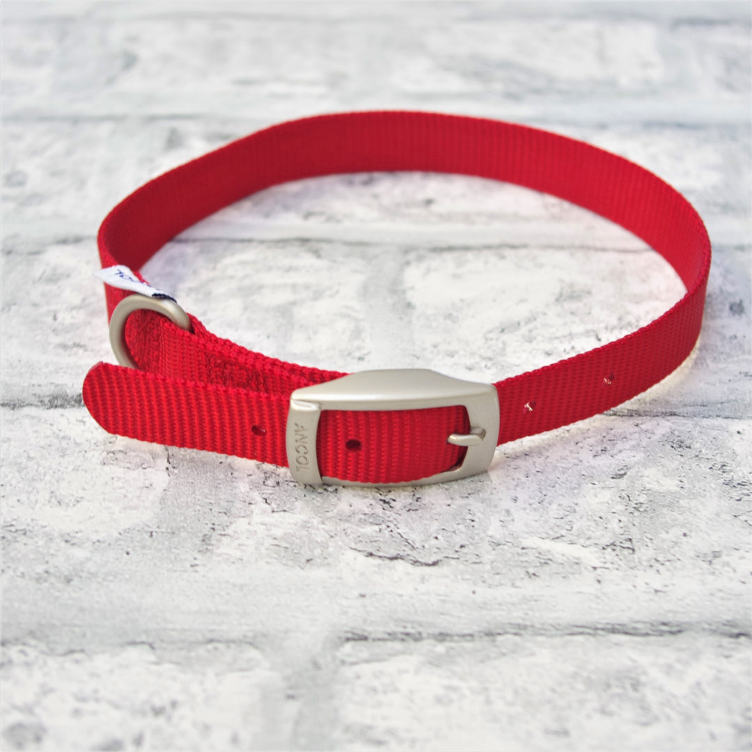 Coloured Nylon Buckle Pet Collar - Small, Medium & Large Sizes