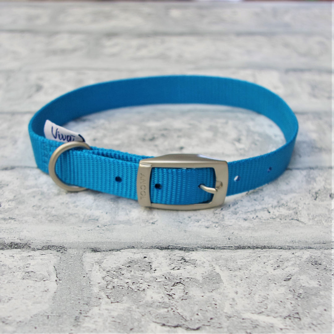 Coloured Nylon Buckle Pet Collar - Small, Medium & Large Sizes