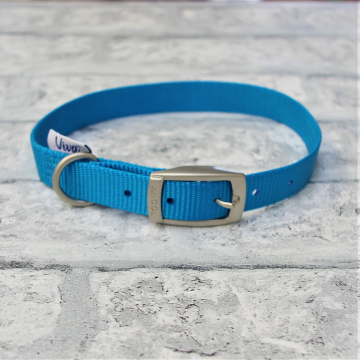 Coloured Nylon Buckle Pet Collar - Small, Medium & Large Sizes