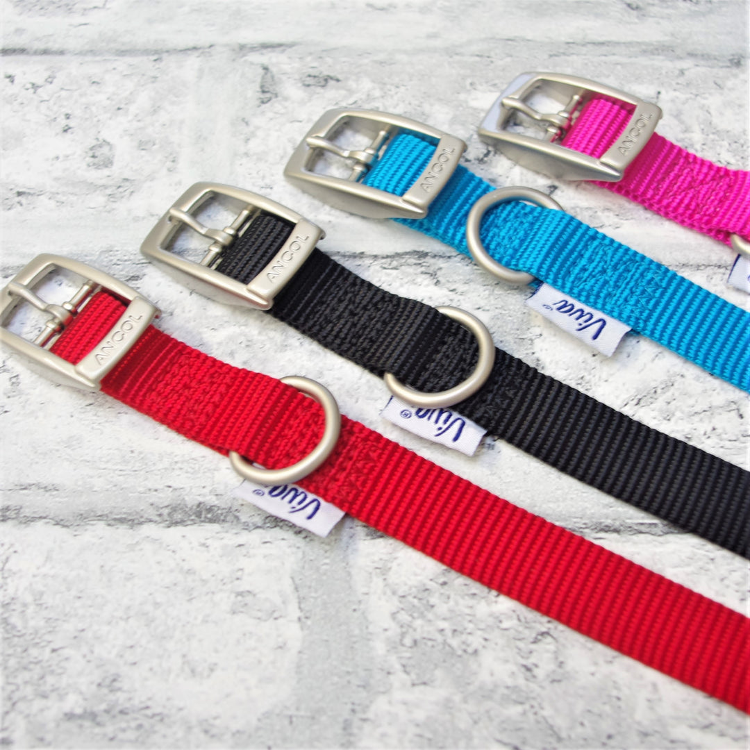 Black Buckle Collar