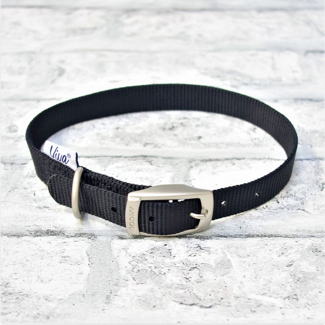 Black Buckle Collar