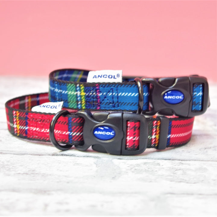 Adjustable Red & Blue Tartan Dog Collars - All Sizes