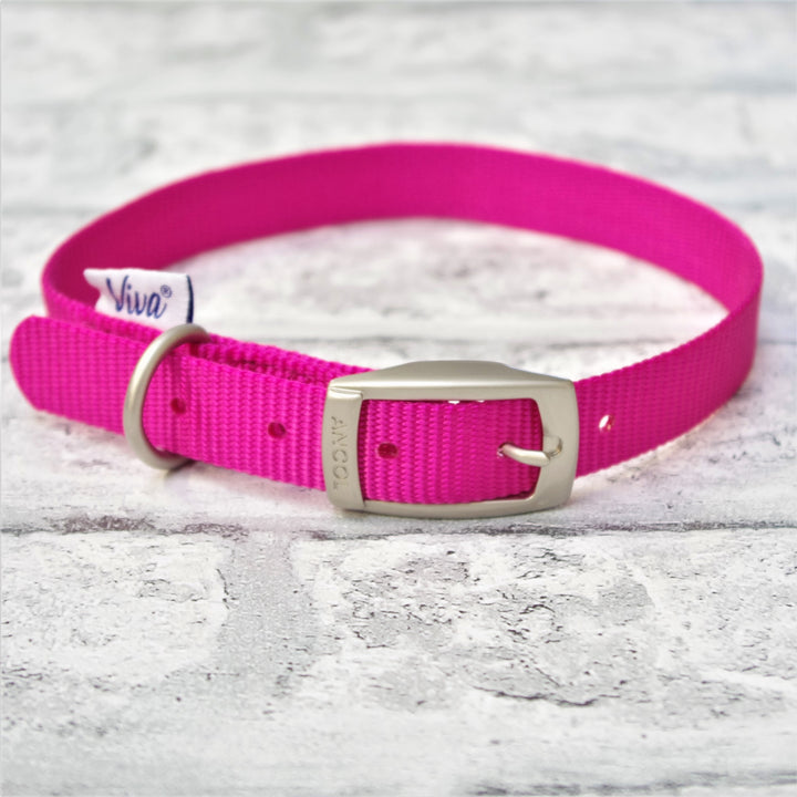 Coloured Nylon Buckle Pet Collar - Small, Medium & Large Sizes