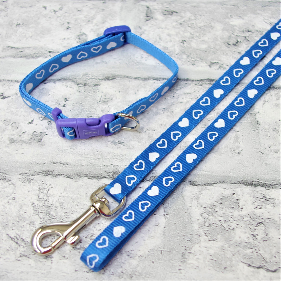Blue Puppy Collar and Lead Blue
