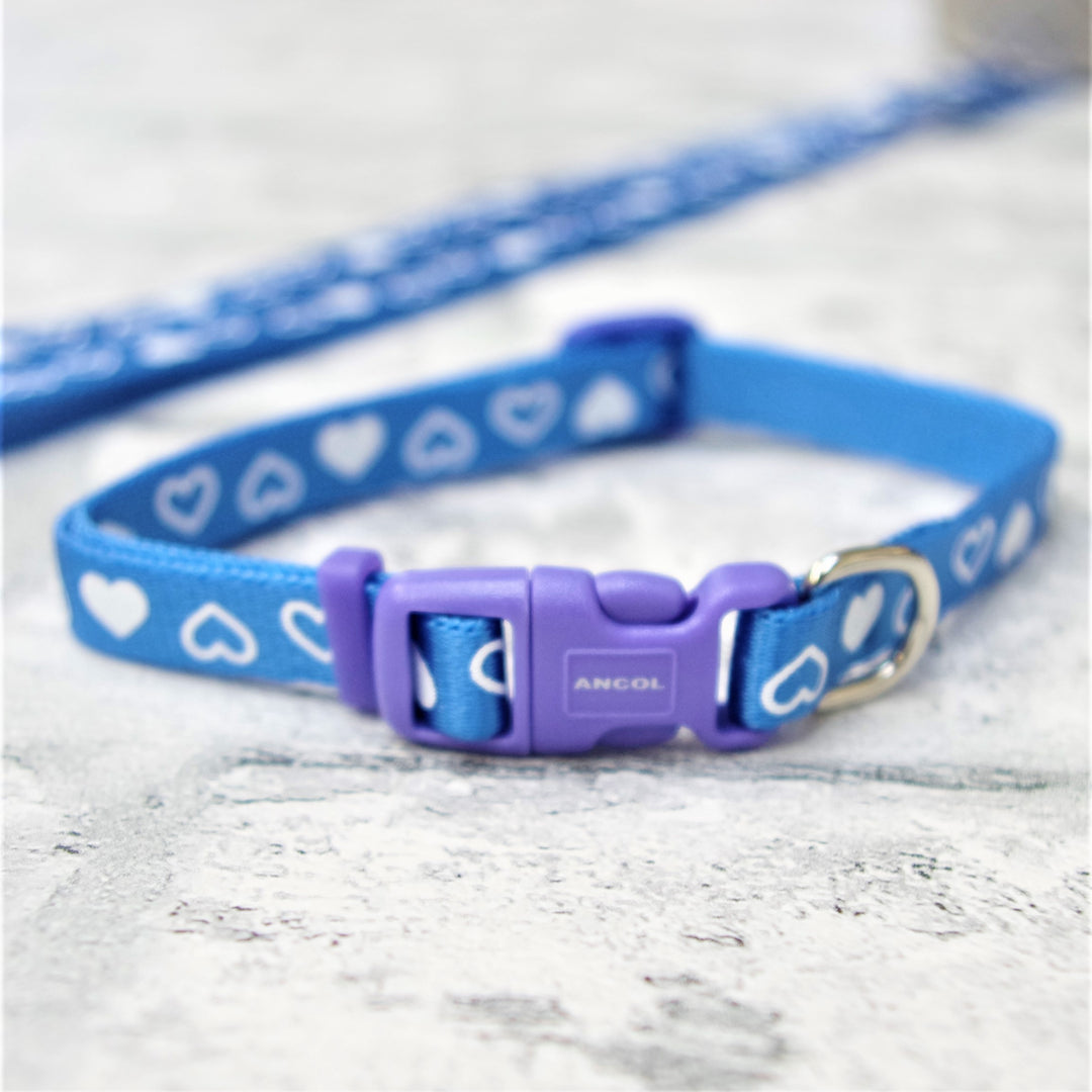 Blue Puppy Collar and Lead Blue