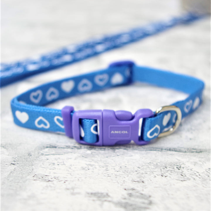 Blue Puppy Collar and Lead Blue