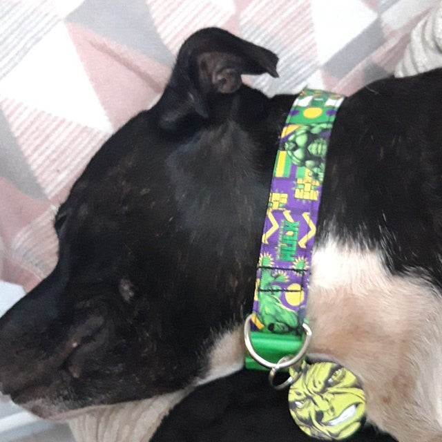 Incredible Hulk Marvel Comics Pet Identify Tag - Small, Medium & Large (25, 32 & 38mm Wide)