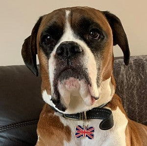 Union Jack Bone Pet Tag