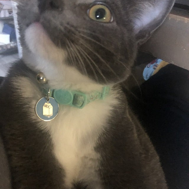 Aqua Milk Carton ID Tag