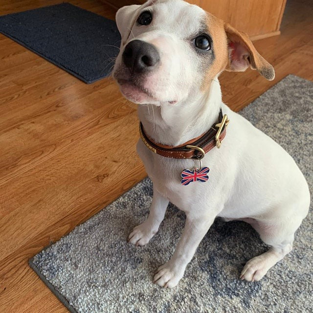 Union Jack Bone Pet Tag