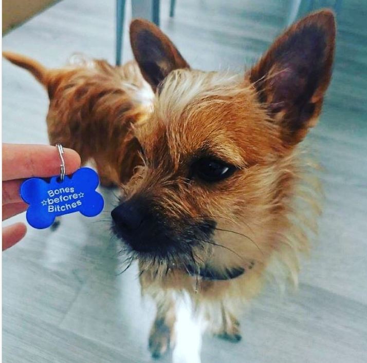 Bones Before Bitches Pet ID Tag