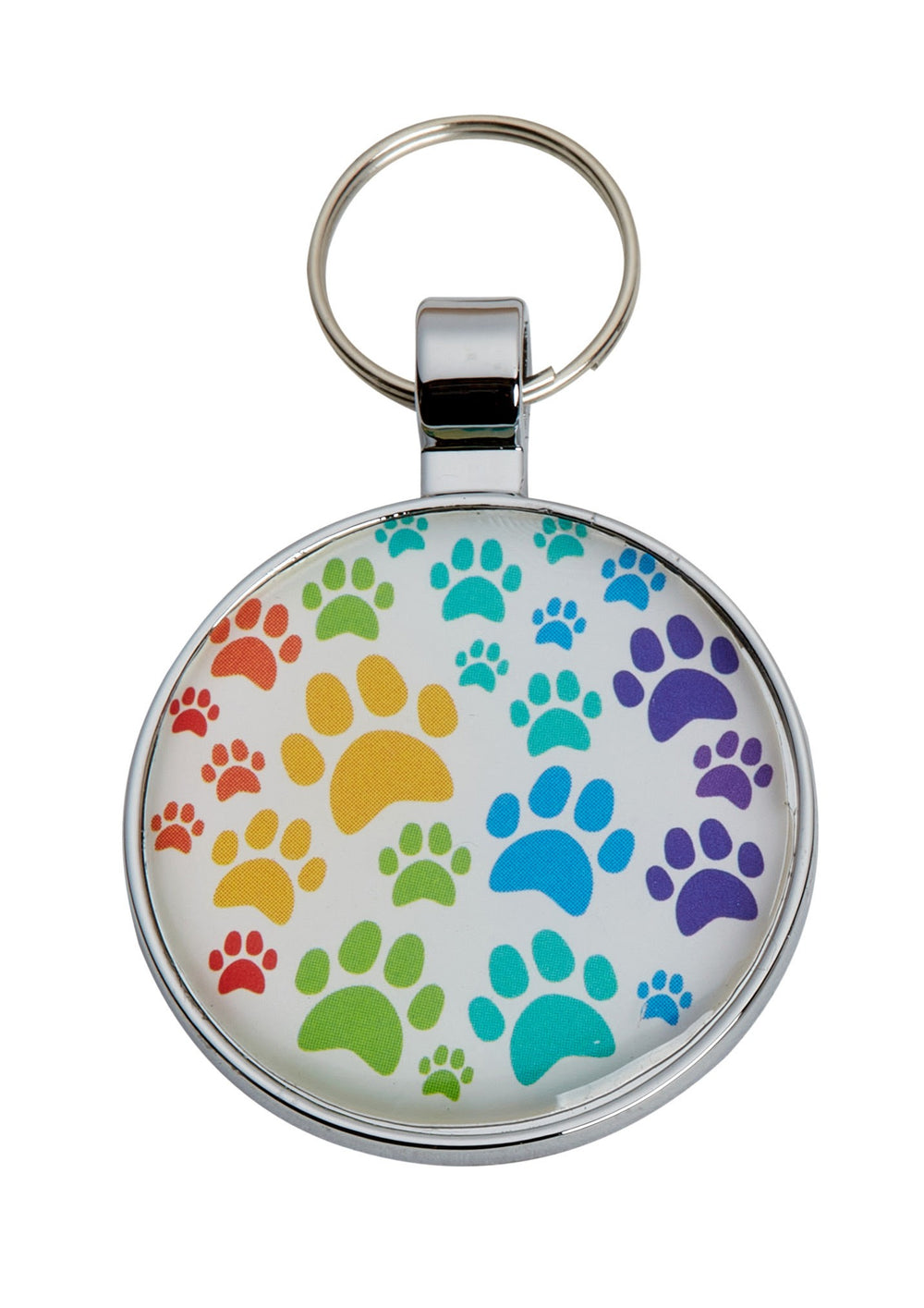 Rainbow Paws Pet Tag 